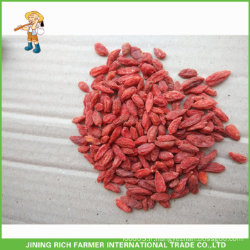 Céréales bio certifiées EU Goji Berry 350grains / prix 50g avec TC
